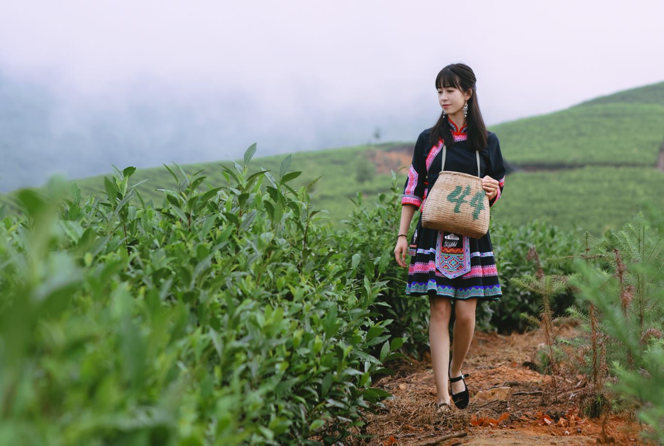 让更多人爱上“花蜜香 甘鲜味”——“湖南红茶”的破局之路