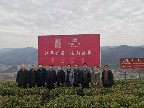 湖南省茶叶研究所张曙光到湖南江华冯城古树苦茶有限公司调研
